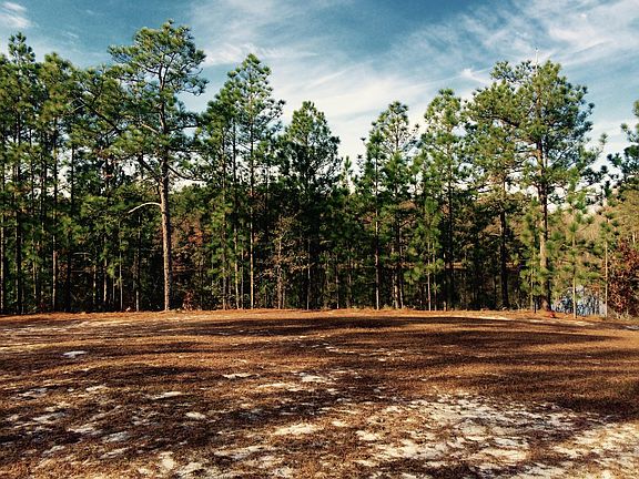 3rd image of Tbd Lot 1 Raintree Road LOT 1