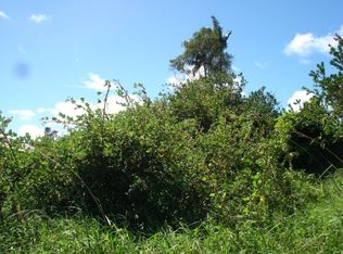 Kolika Rd LOT 318, Mountain View, HI 96771