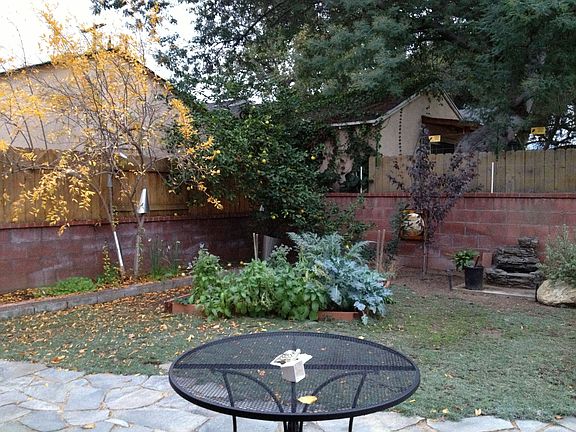 backyard garden 