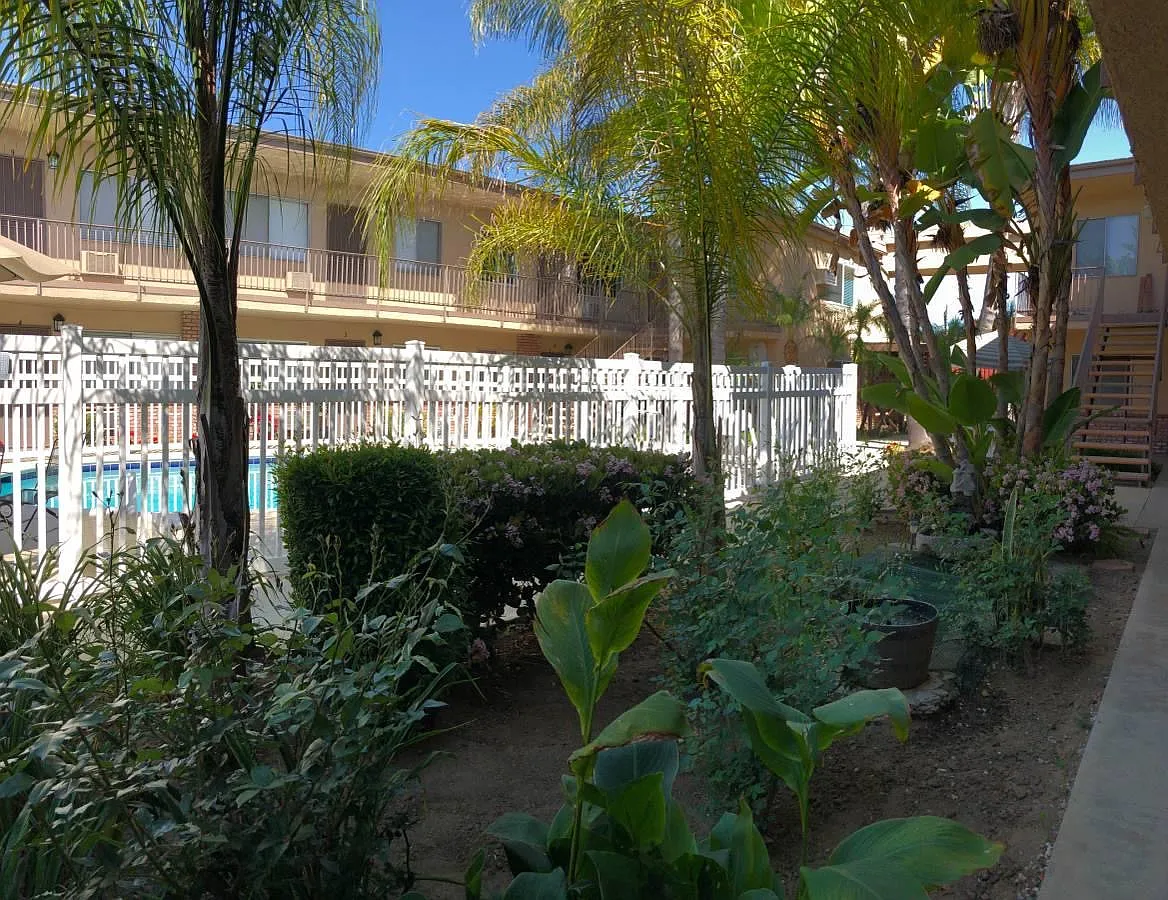 1 bed, 700 sqft, $1,895 — Photo 3