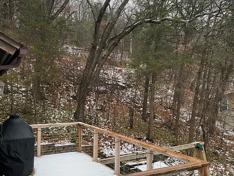 Side/south side deck and back yard