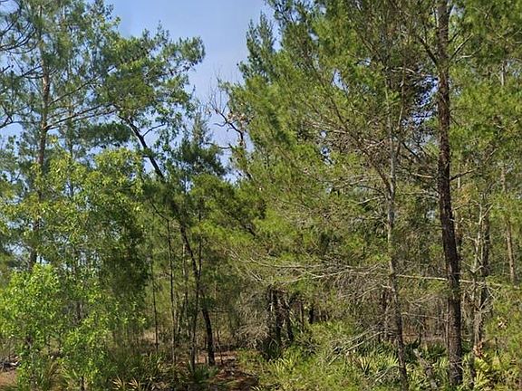 5th image of MALAUKA TRAK LOT 5