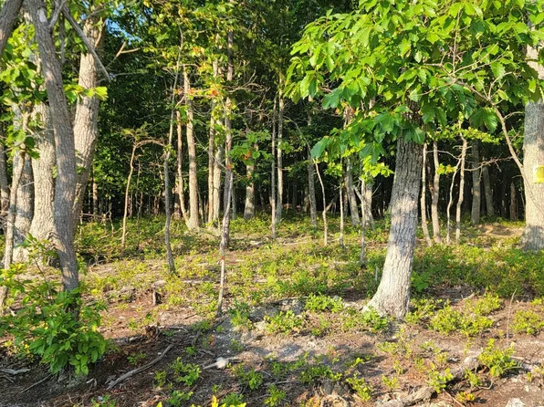 0 Dodson Dr, Rustburg, VA 24588