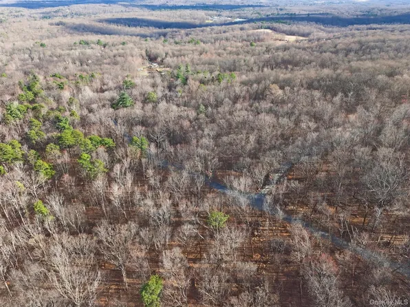 Lenni Lenape Avenue, Wurtsboro, NY 12790