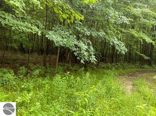 9000 E Broomfield Rd, Mount Pleasant, MI 48858