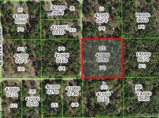 8644 N Meyer Sq, Dunnellon, FL 34433