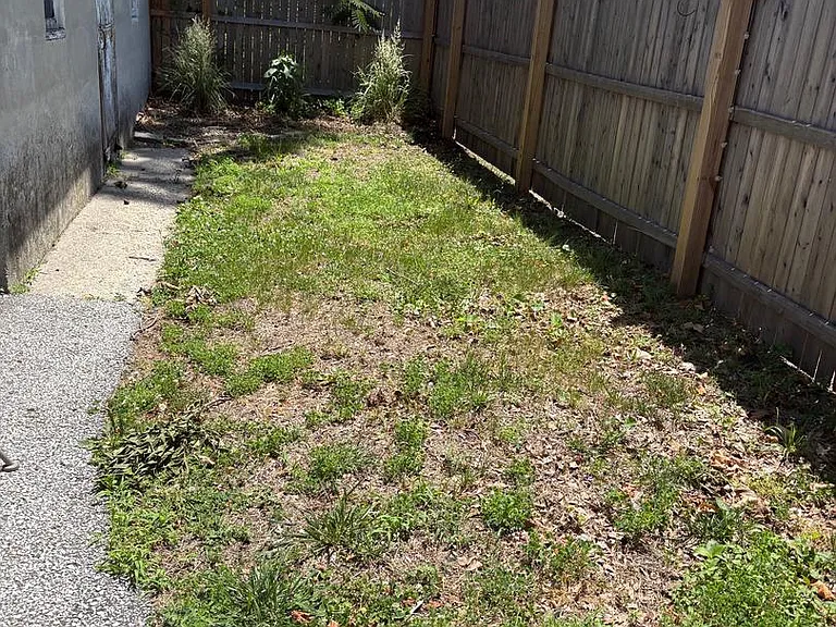 314 W 4th St — Photo 17