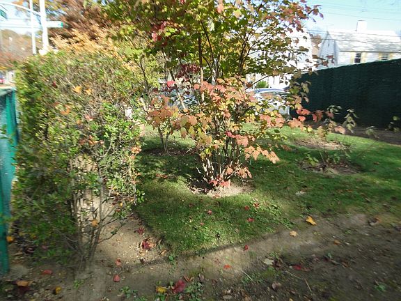 4th image of 85-31 112th Street