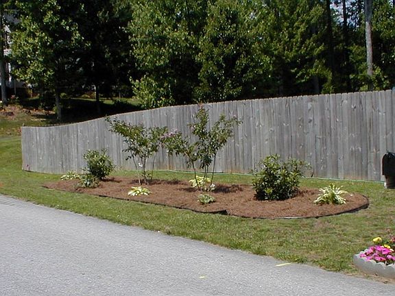 New garden at side