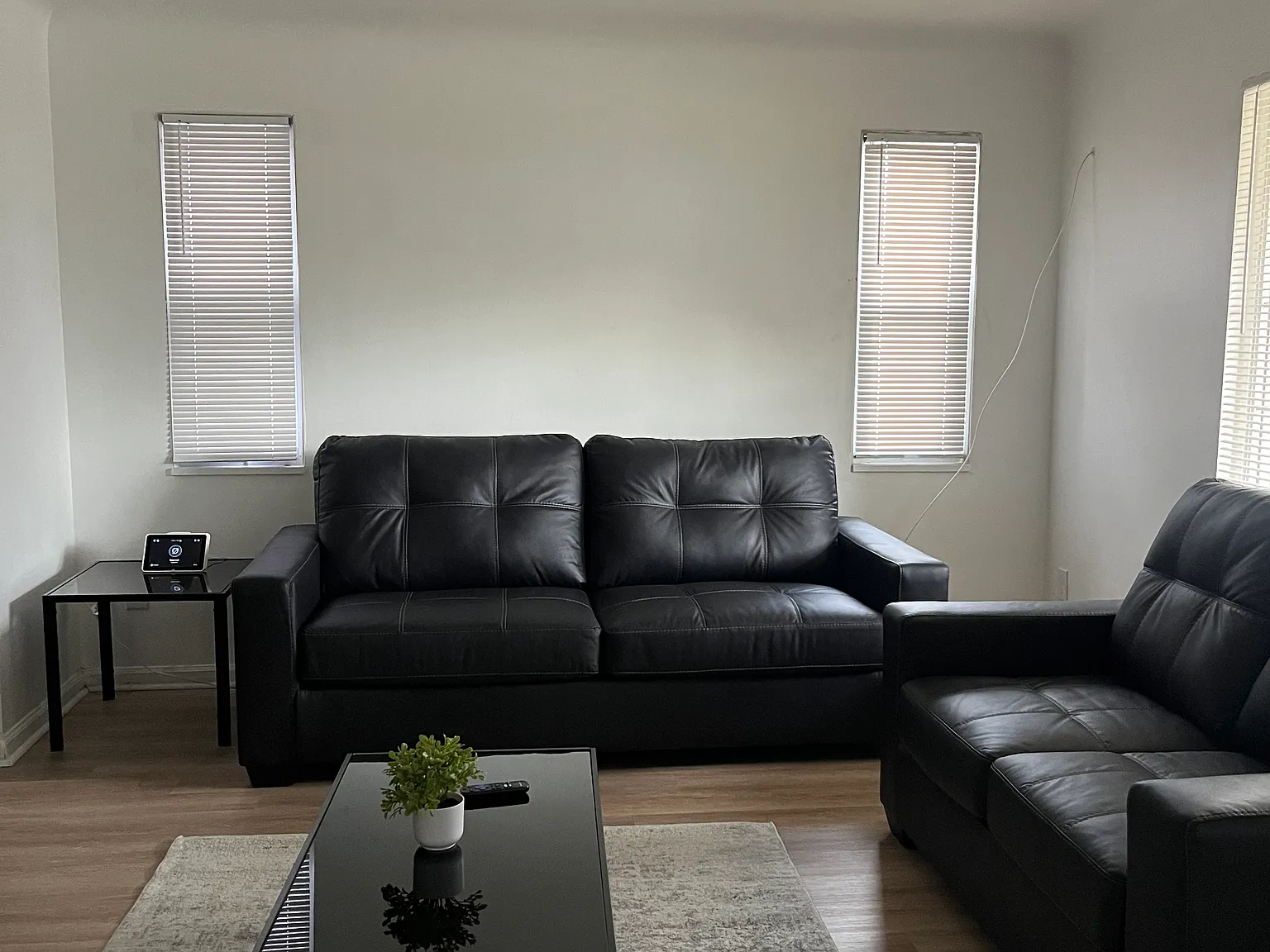 3 bed, 1.5 bath, 978 sqft, $2,000 — Photo 3