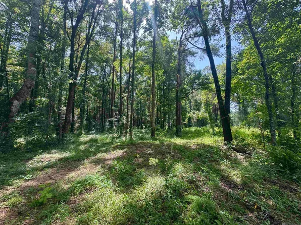 Rs 9&10 Jh Jenkins Ln, Denham Springs, LA 70706