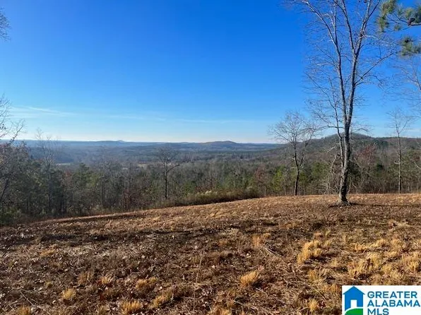 Tablee Ln, Ashland, AL 36251