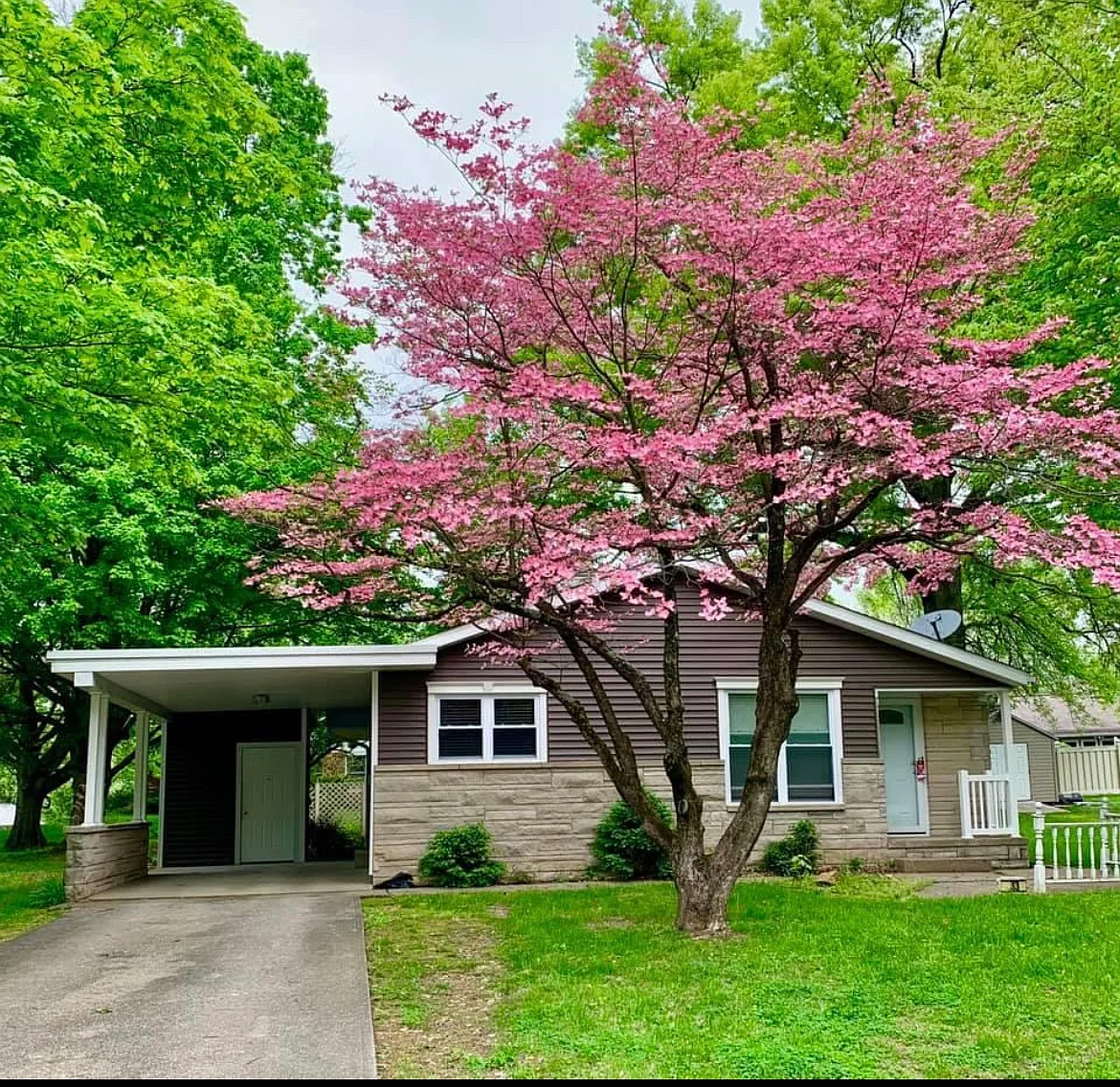 3 bed, 1148 sqft, $1,650 — Photo 1