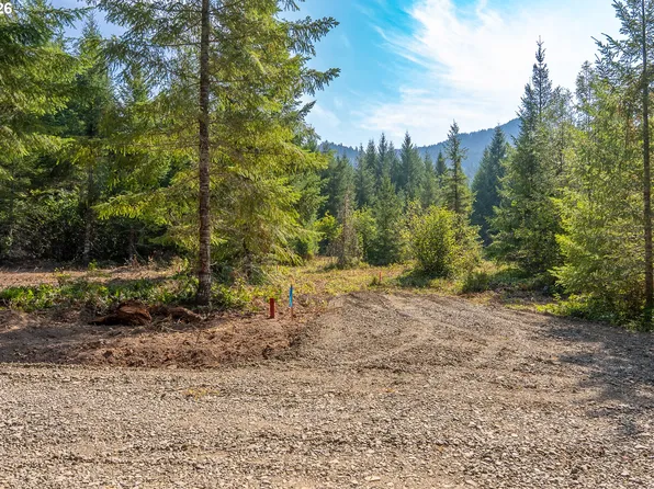 Hawk Meadows Rd #4, Carson, WA 98610