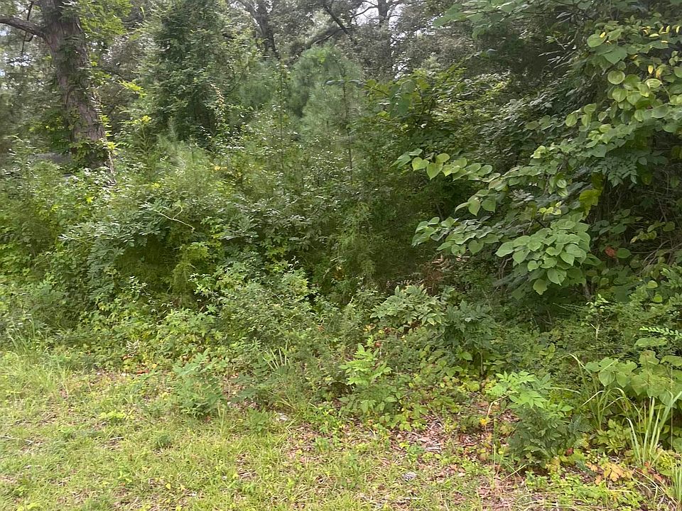 2nd image of 18 N College St