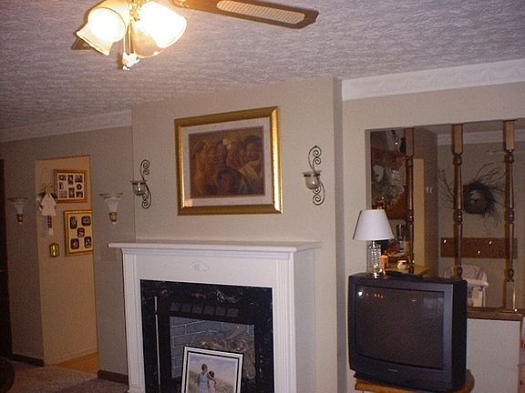 fireplace and crown molding