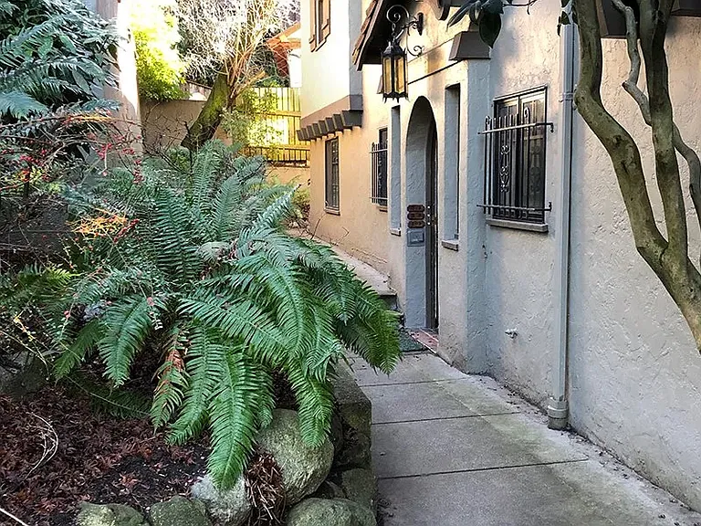 Hacienda — Photo 3