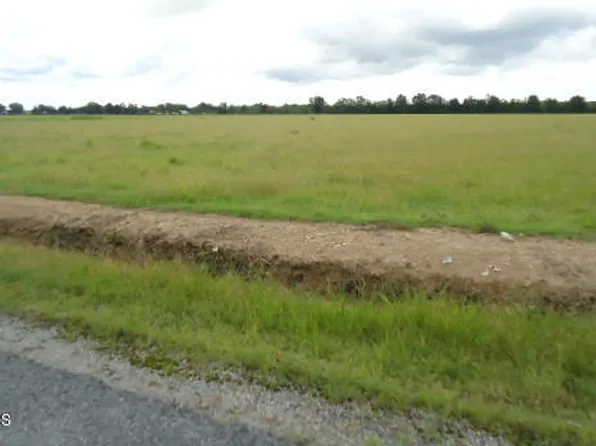 0 Connie Rd, Iota, LA 70543