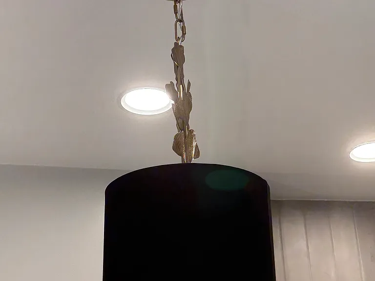 Stunner - brass lotus leaf central chandelier in bathroom