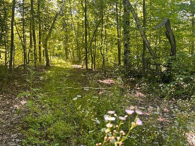 1st image of 2 County Road Bb