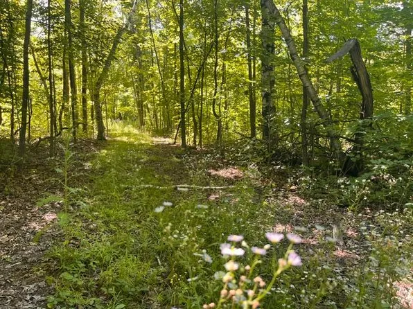 2 County Road Bb, Woodville, WI 54028