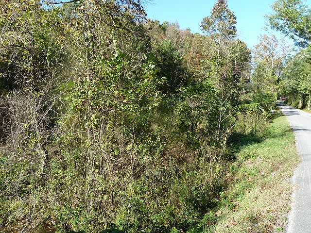 2nd image of Pumpkin Hollow Rd