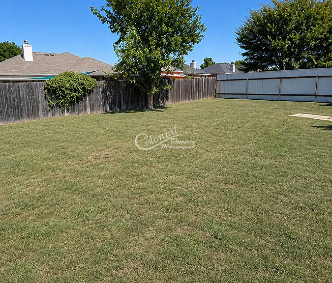 203 Nolan Ridge Dr — Photo 13