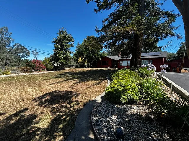 12240 New Airport Rd — Photo 2