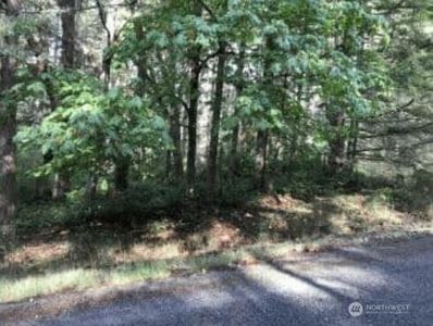 10602 Madrona Drive, Anderson Island, WA, 98303
