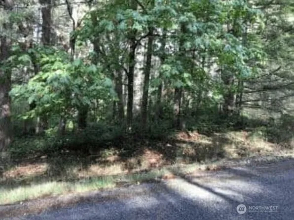 10602 Madrona Drive, Anderson Island, WA 98303