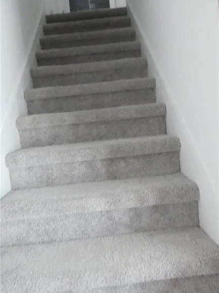 4275 Cirella Ct — Photo 10