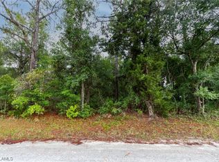 35318 Goolsby St, Webster, FL 33597