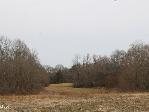 4th image of 4325 Highway 301 N