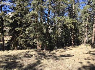 116 Beaver Creek Cir, Florissant, CO 80816