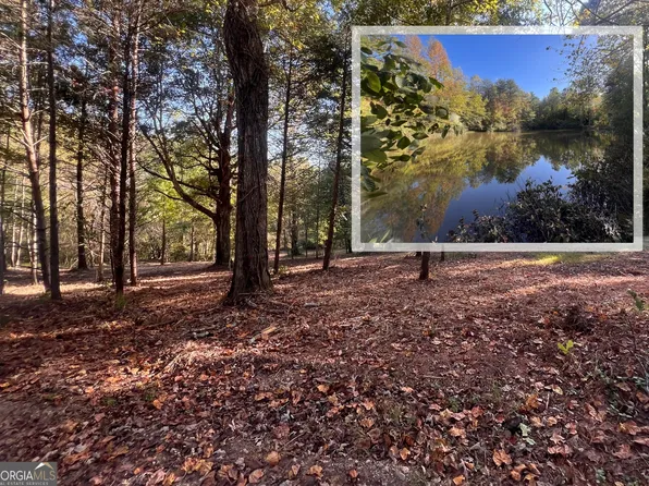 Buckskin Trl, Clarkesville, GA 30523