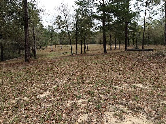 3rd image of 5440 Mare Creek Dr