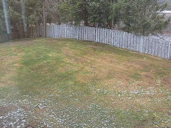 Large fenced backyard
