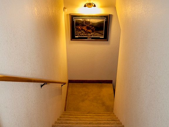 Full Size Basement