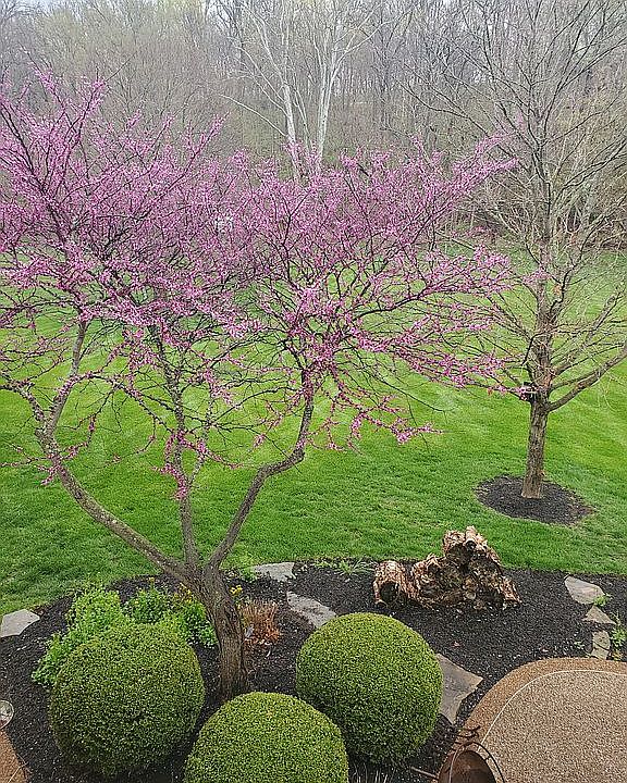 1st image of 17348 Radcliffe Place Dr