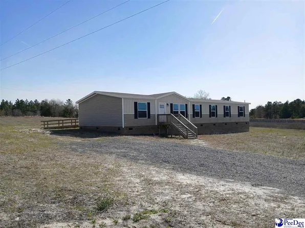 7793 Highway 265, Mount Croghan, SC 29727