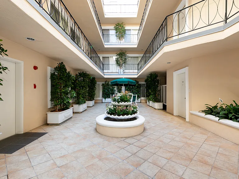 Palm Court — Photo 1