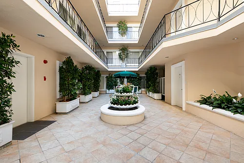 Palm Court Photo 1