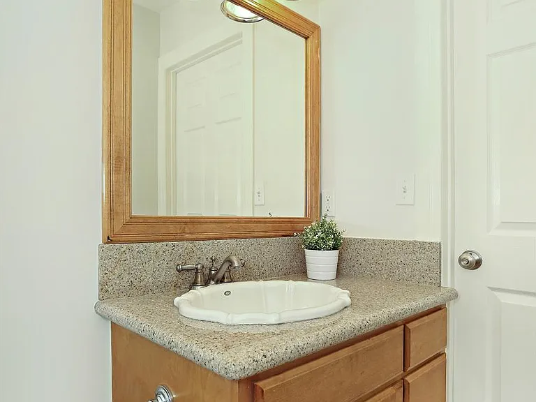 Main Floor Guest Bathroom