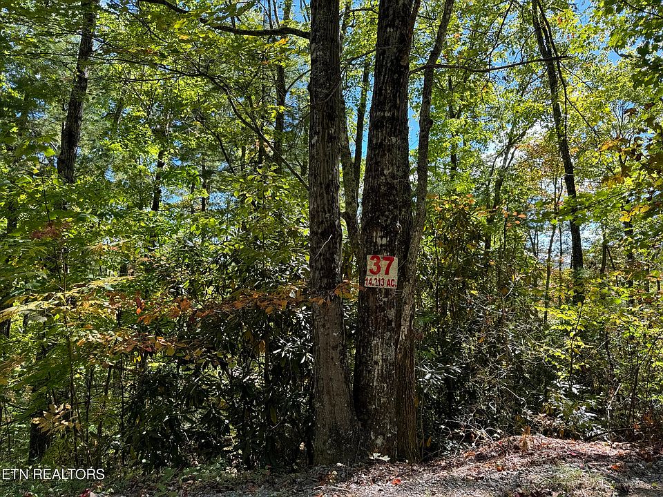 1st image of LOT 37 Joy Way