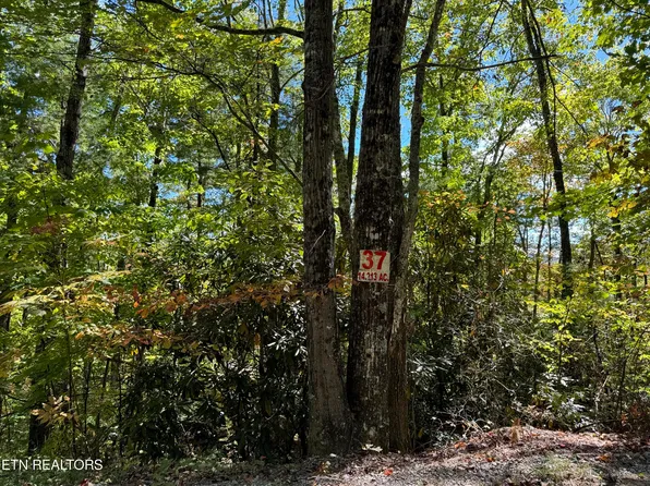 LOT 37 Joy Way, Hartford, TN 37753