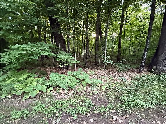 4th image of TBD N Timber Trails Lane