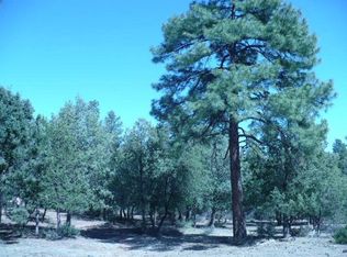 913 N Mud Springs Rd, PAYSON, AZ 85541