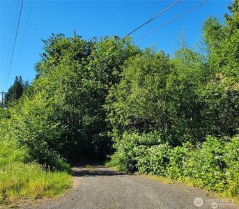 381 E State Route 4, Cathlamet, WA, 98612