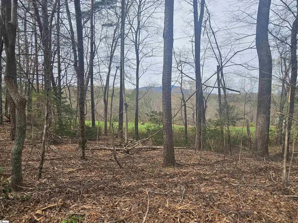 0 Arledge Rd Lot 1, Landrum, SC 29356