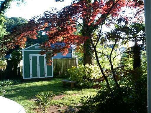 Back Yard with Shed